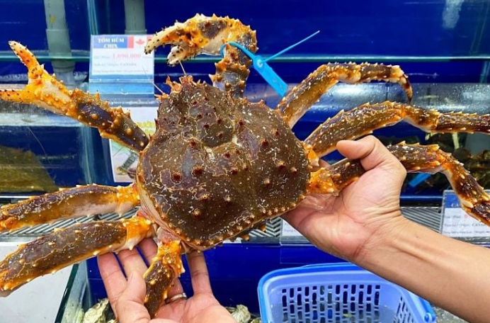 Giải Mã Cơn Mộng Cùng KUBET Kubet77